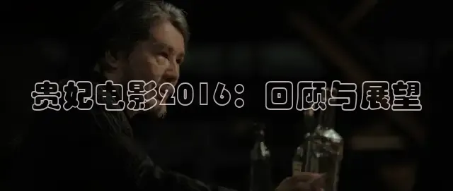 贵妃电影2016：回顾与展望